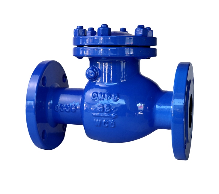 旋啟式止回閥 旋啟式止回閥