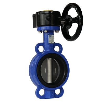 有靠背對夾式蝸輪蝶閥