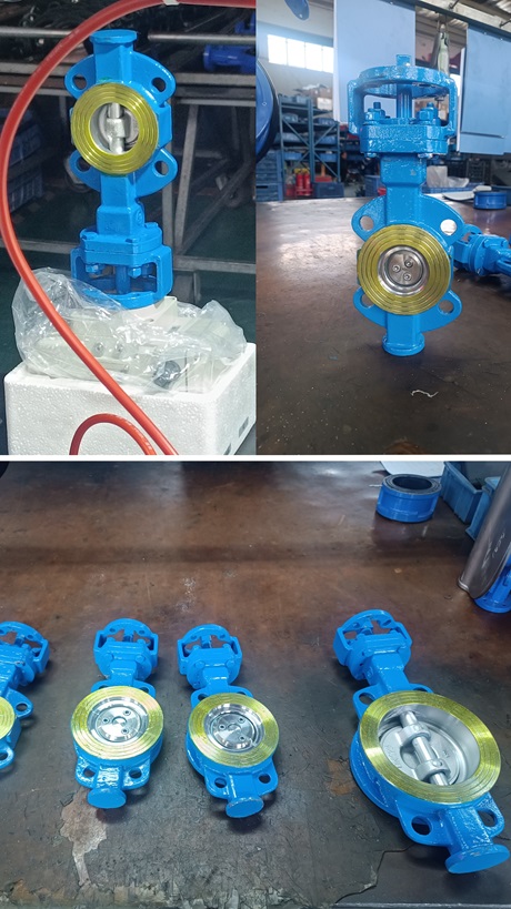 對夾式硬密封 對夾式硬密封