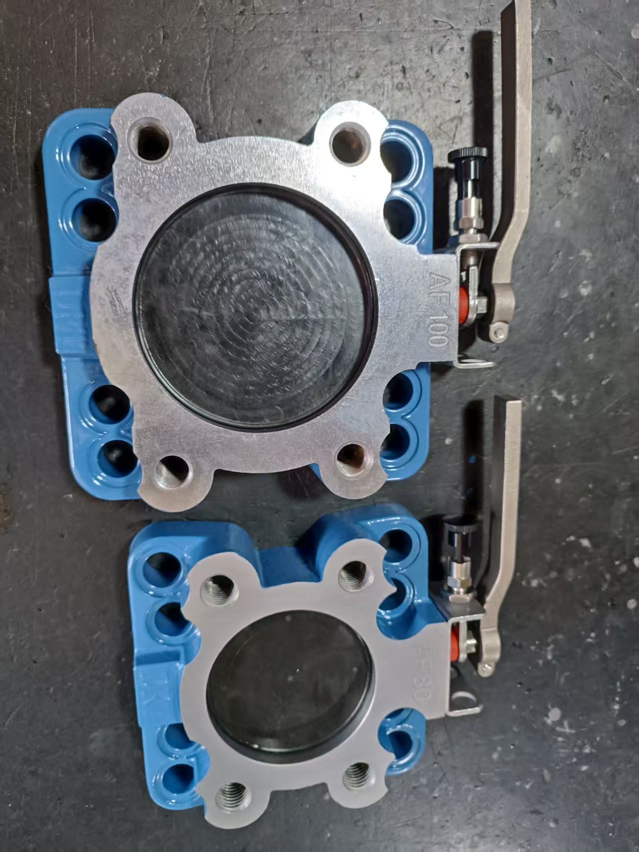 來自意大利客戶的偏心蝶閥試訂單